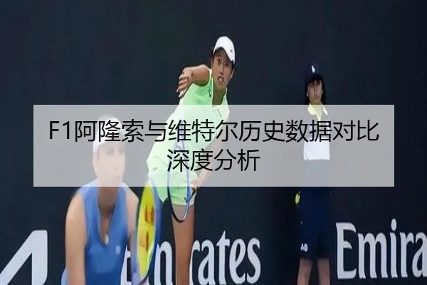 F1阿隆索与维特尔历史数据对比深度分析